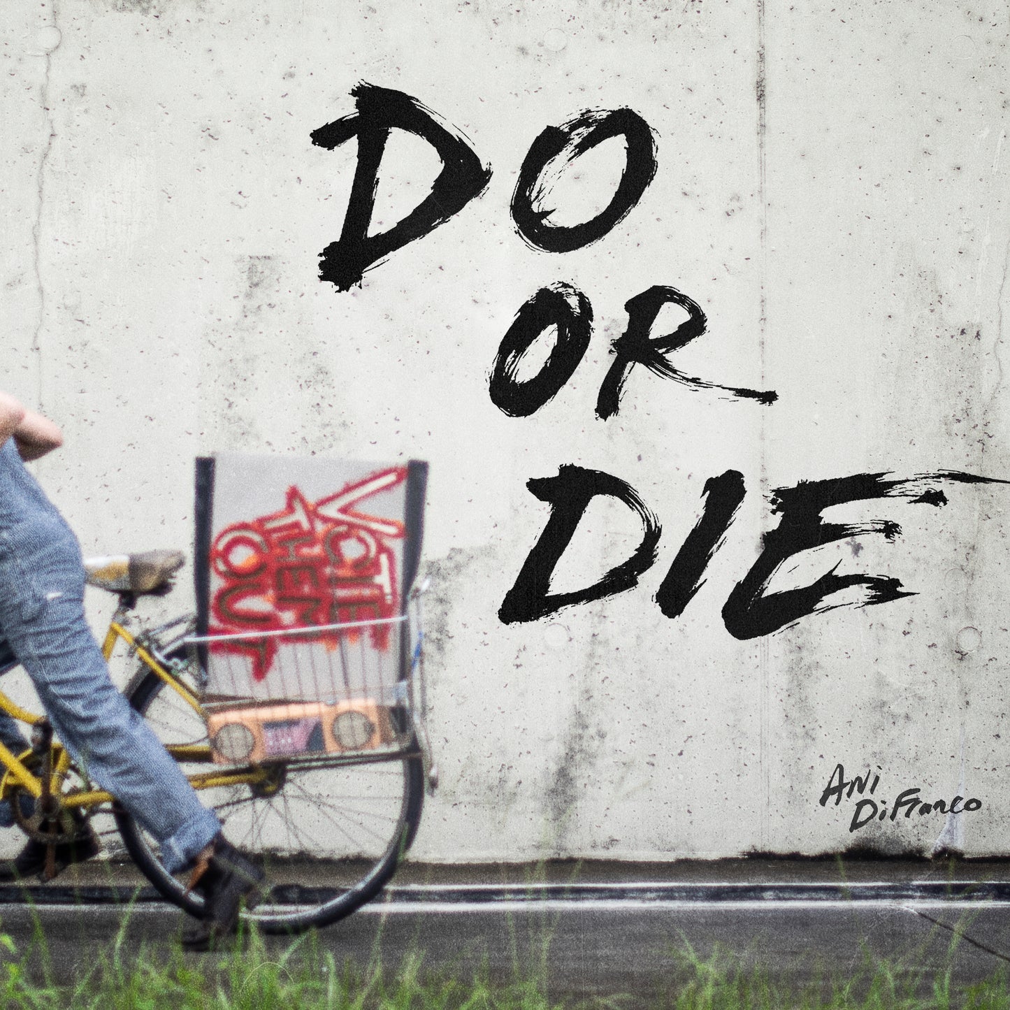 Ani DiFranco - Do or Die (Single)